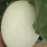 【玉菇甜瓜】海南玉菇甜瓜对接电商商超市场量大从优