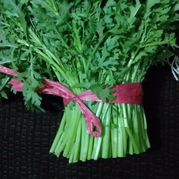 大量供应茼蒿蒿子杆新鲜蔬菜一手货欢迎大家前来咨询