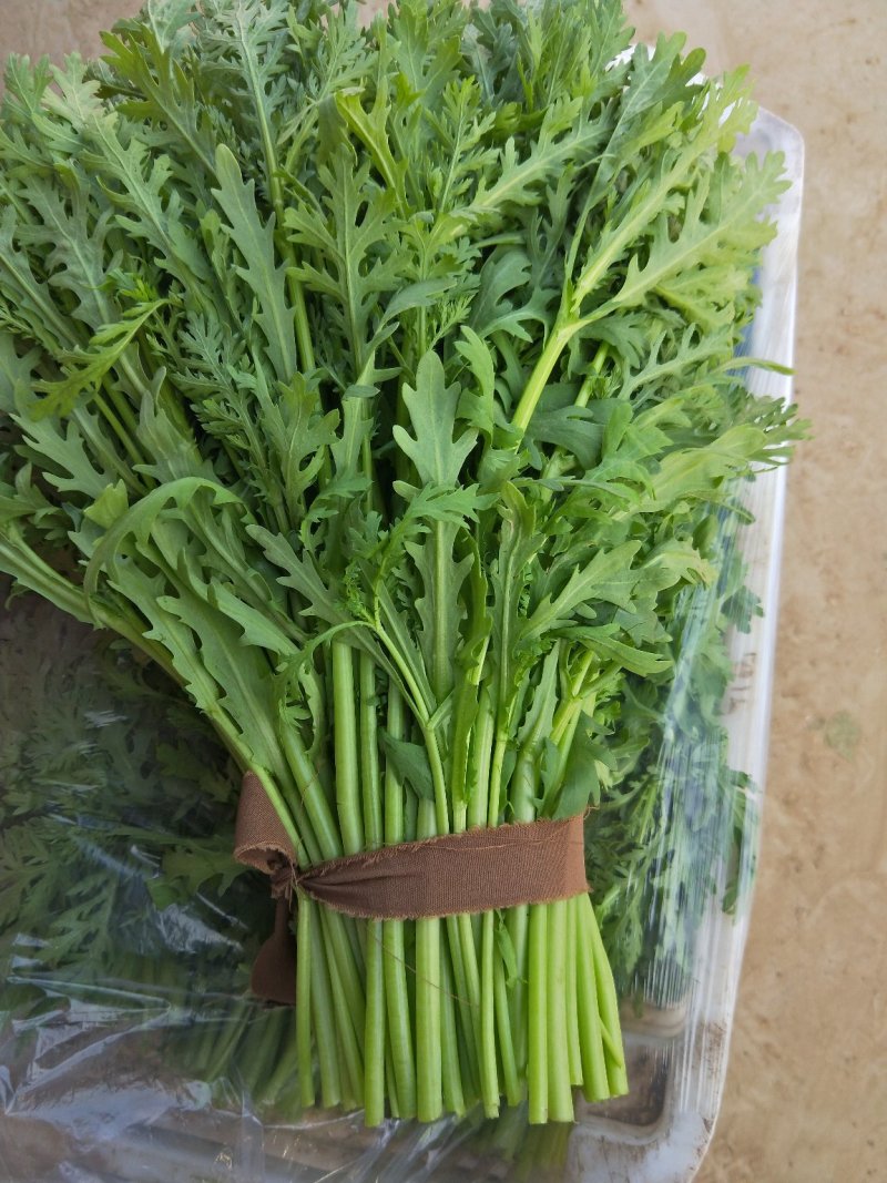 大量供应茼蒿蒿子杆新鲜蔬菜一手货欢迎大家前来咨询