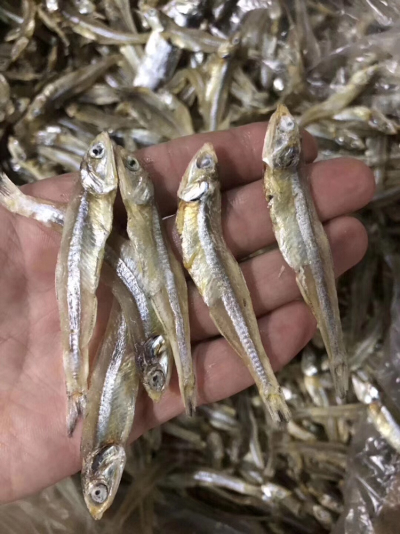小鱼干无添加自然晒干市场都好卖做法简单又好吃