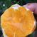 湖北甜橙产地看货采摘，无中间商，质量有保障