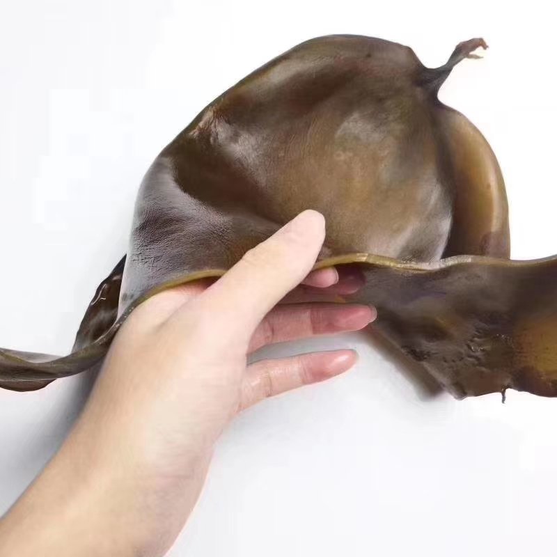 海带头海带皮盐渍干海带头