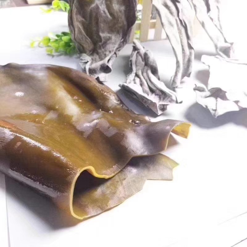 海带头海带皮盐渍干海带头