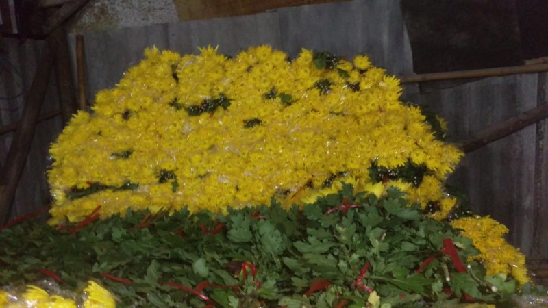 扫墓**选择便宜质量好