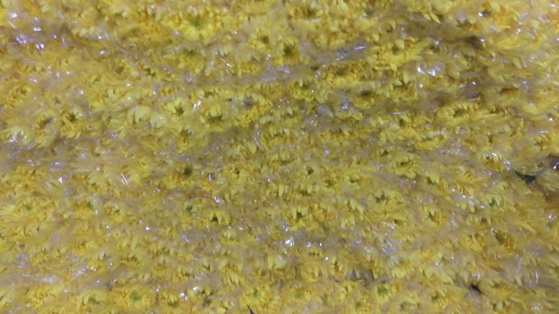 扫墓**选择便宜质量好