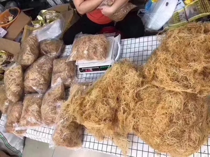 海石花石花菜鹿角菜水产干货批发