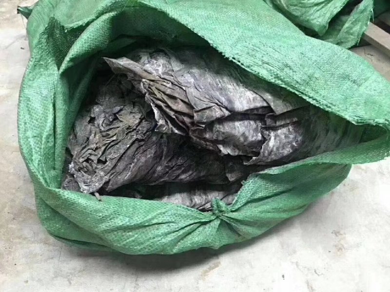 海带皮。干海带水产干货海带批发