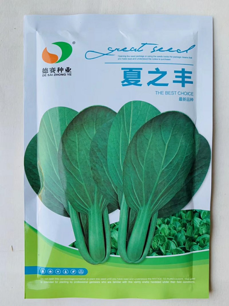 夏之丰青梗菜种子(夏秋耐热青梗菜品种)