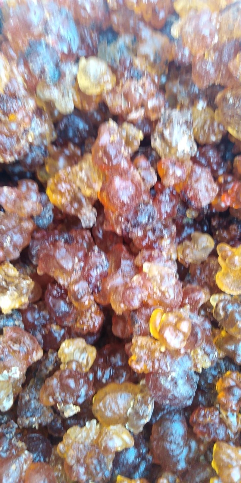 桃胶，食用桃胶精选真空包装，自己桃园，长期有货，保证质量