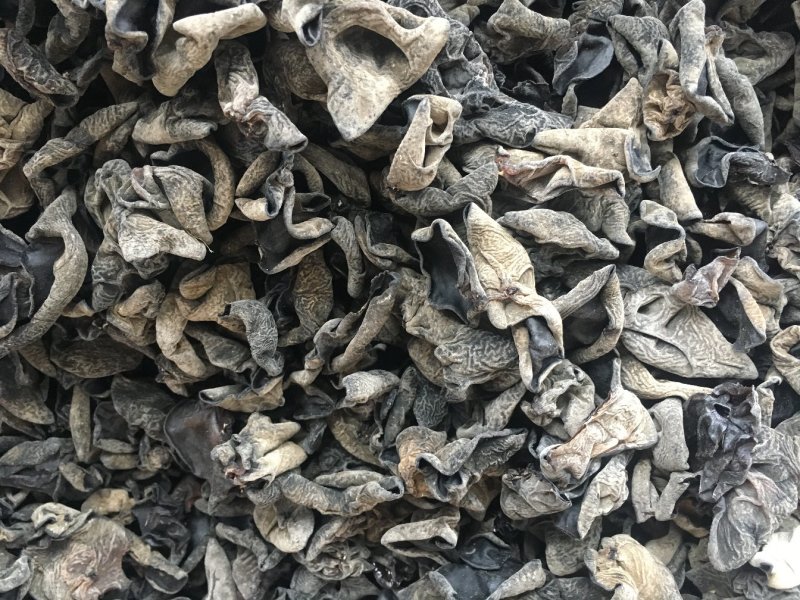 东北黑木耳小木耳青川黑木耳批发