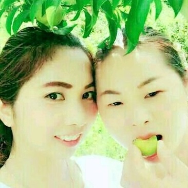 早熟四月李，口感脆甜，上市早口感好！！卖相好！