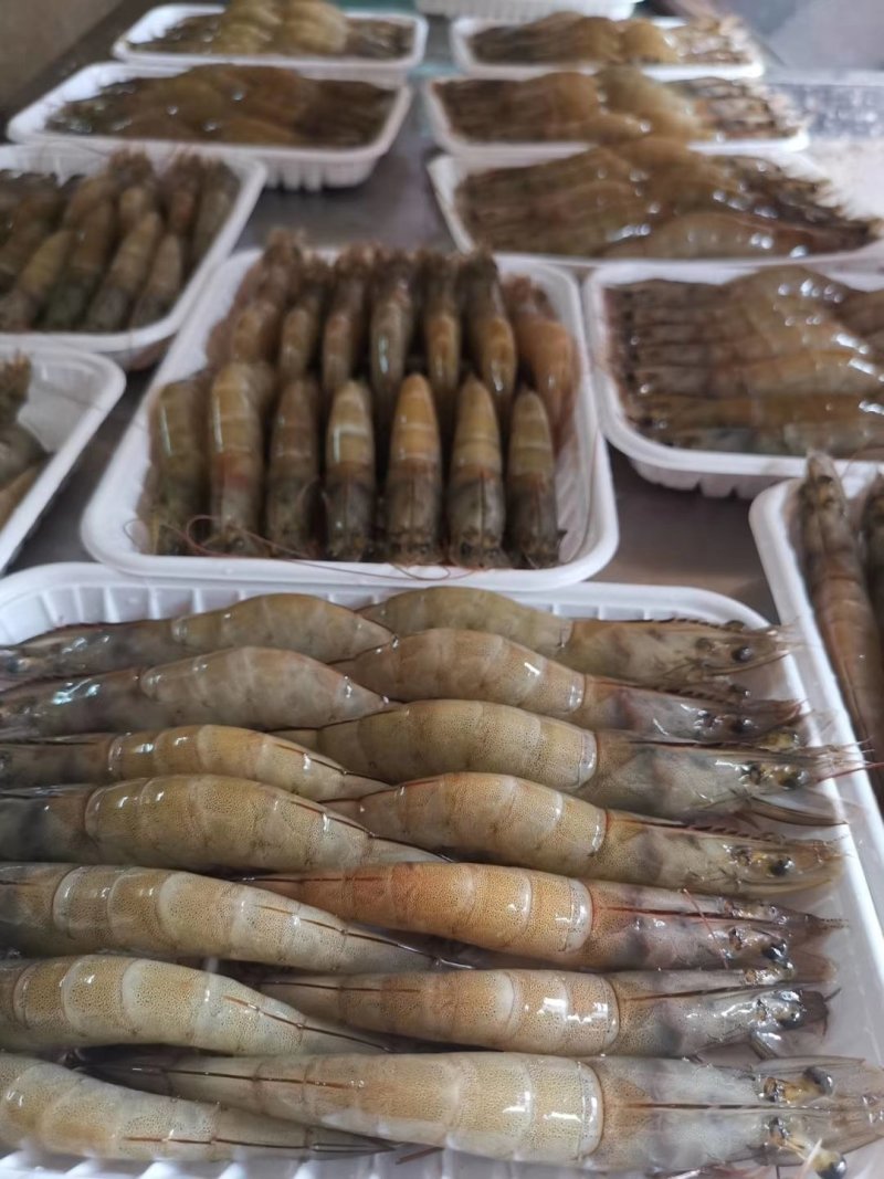 南美白虾，湛江天然海鲜
