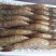 南美白虾，湛江天然海鲜