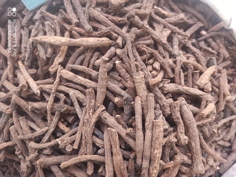 仙茅段块各种规格正品保障专业批发中药