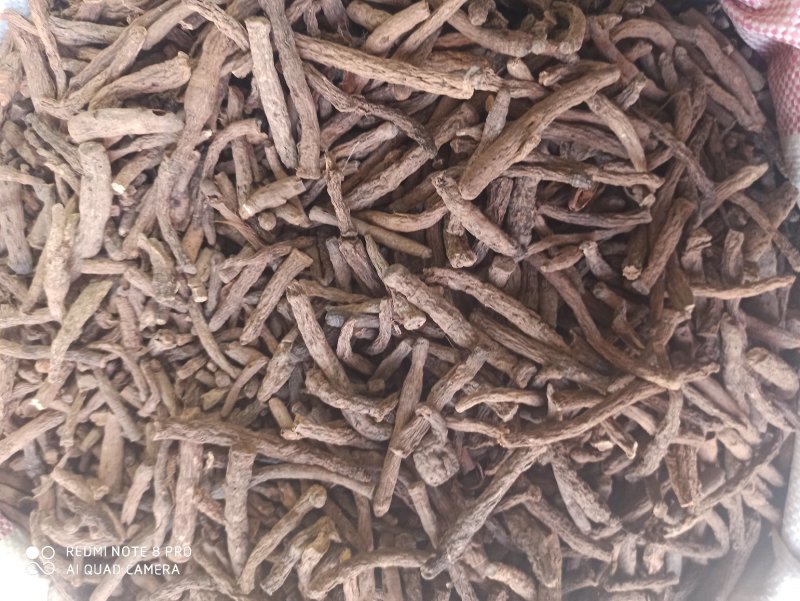 仙茅段块各种规格正品保障专业批发中药