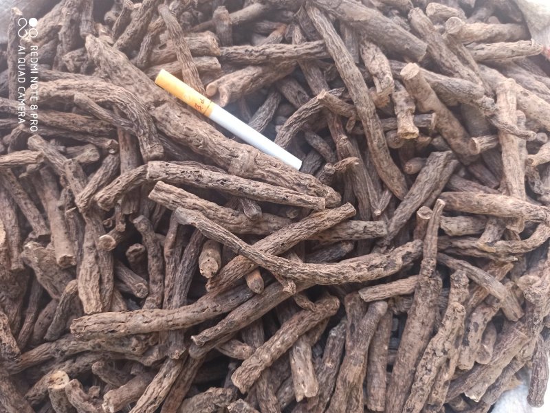 仙茅段块各种规格正品保障专业批发中药