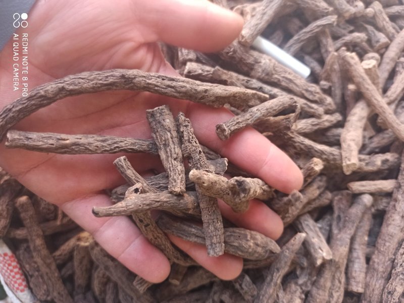 仙茅段块各种规格正品保障专业批发中药