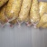金丝皇菊
