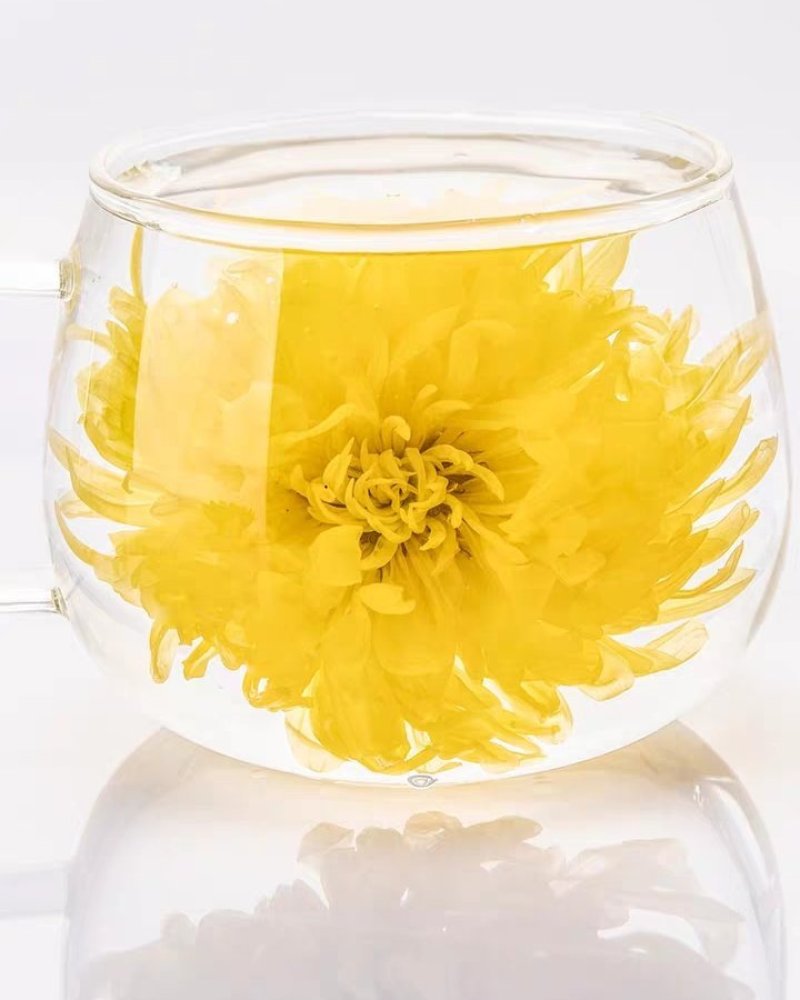 金丝皇菊
