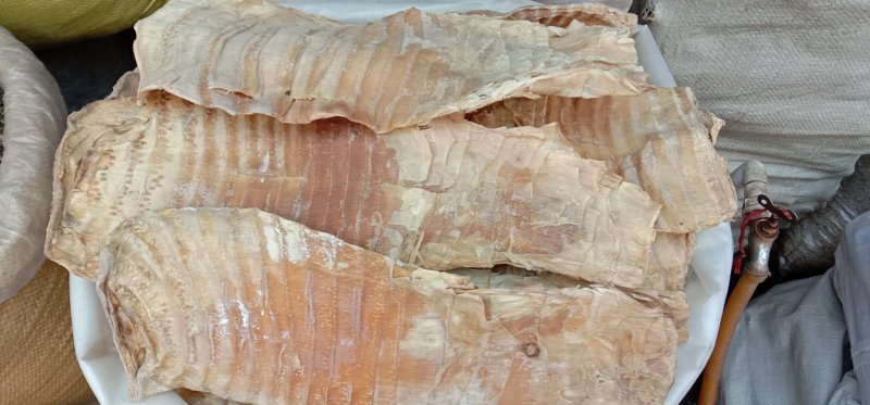 农家笋干小片白笋玉兰片厚片一件80斤