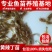 精品黄颡鱼苗，黄辣丁，包存活率，包质量，送货上门