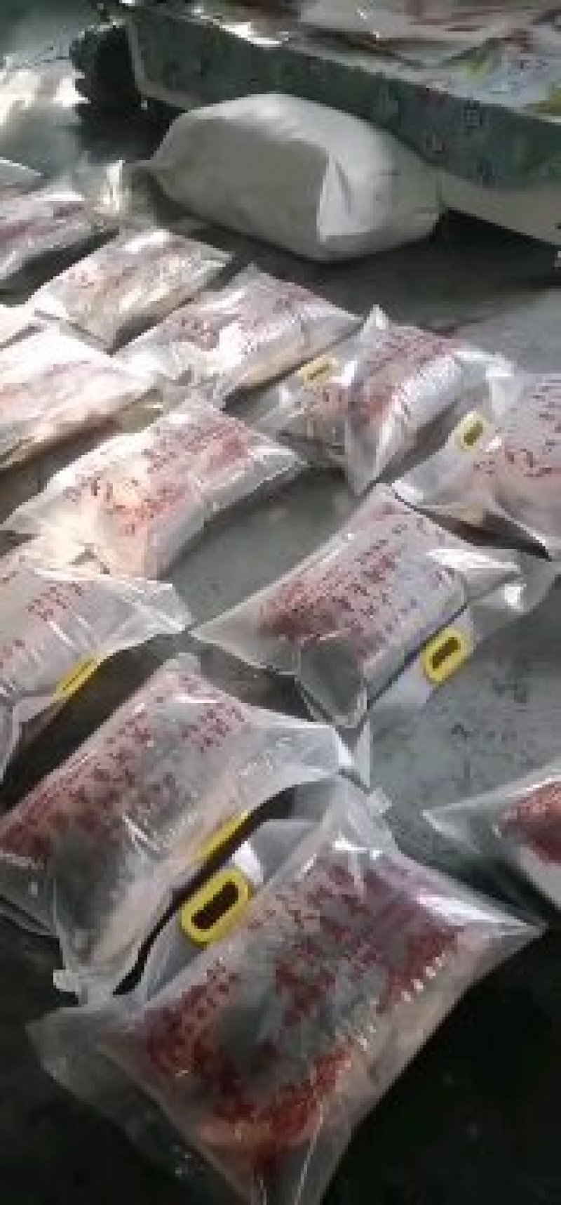 内蒙古包头市黄河水源地