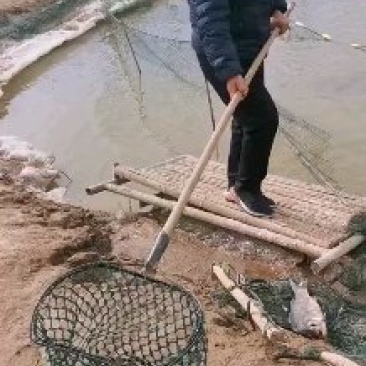 内蒙古包头市黄河水源地