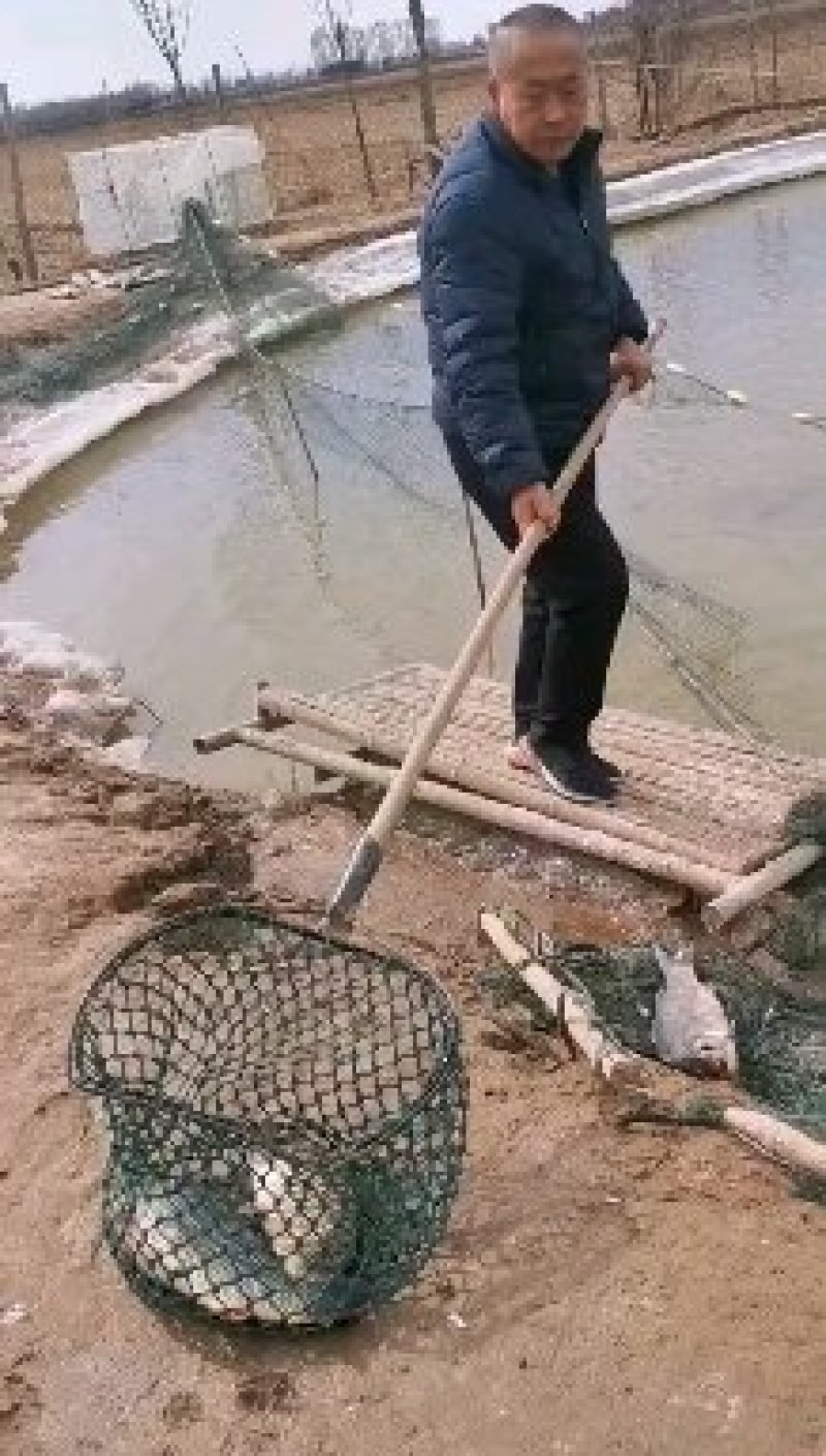 内蒙古包头市黄河水源地