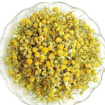 洋甘菊，常年批发供应药食同源，洋甘菊，量大从优
