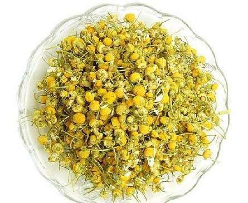 洋甘菊，常年批发供应药食同源，洋甘菊，量大从优
