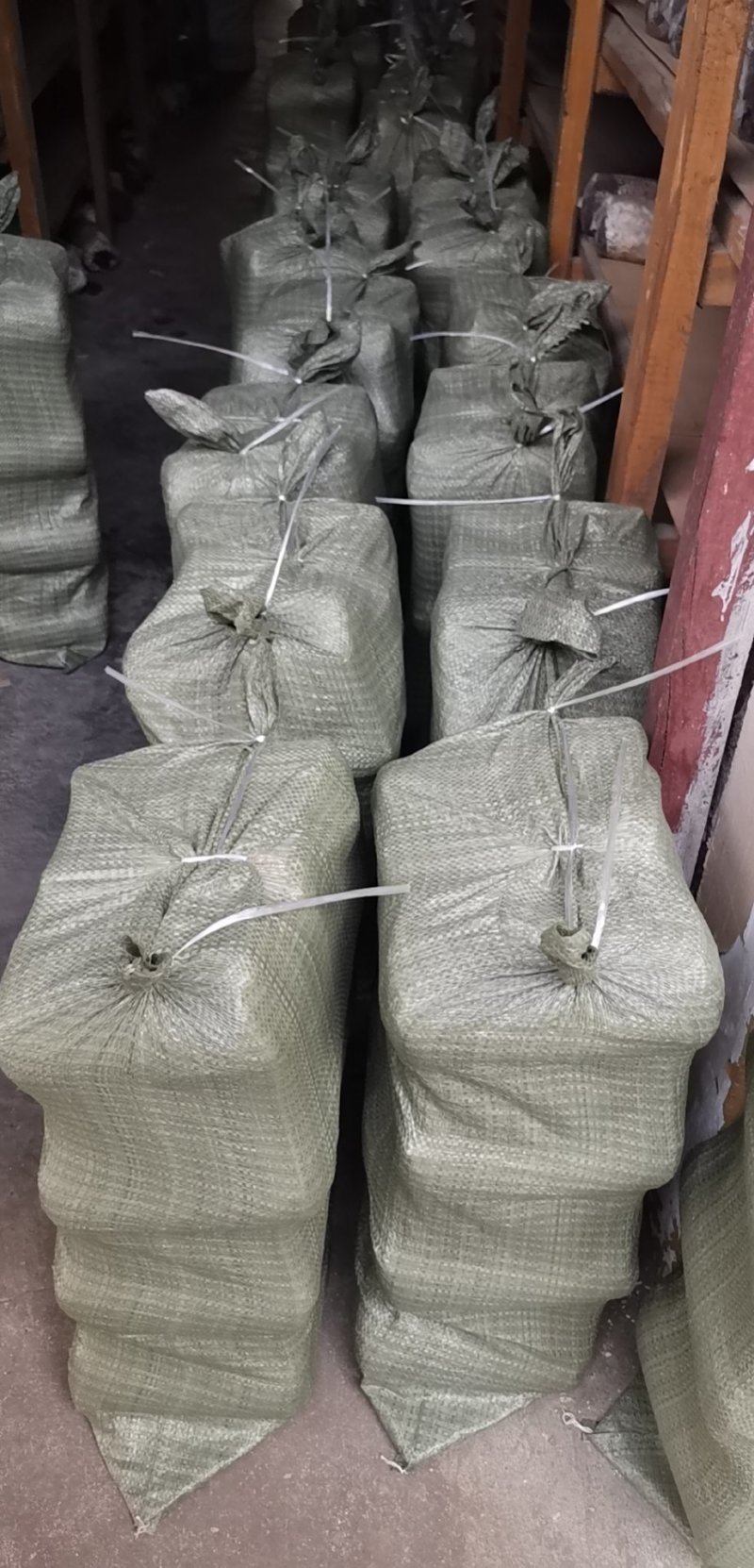 随州香菇基地供应椴木香菇菌种一袋70斤5袋起发包邮