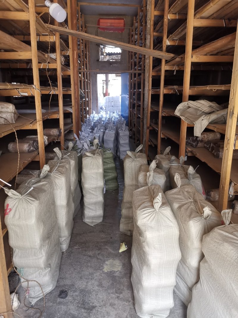 随州香菇基地供应椴木香菇菌种一袋70斤5袋起发包邮