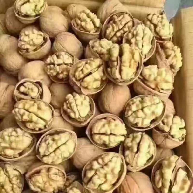 大量核桃出售