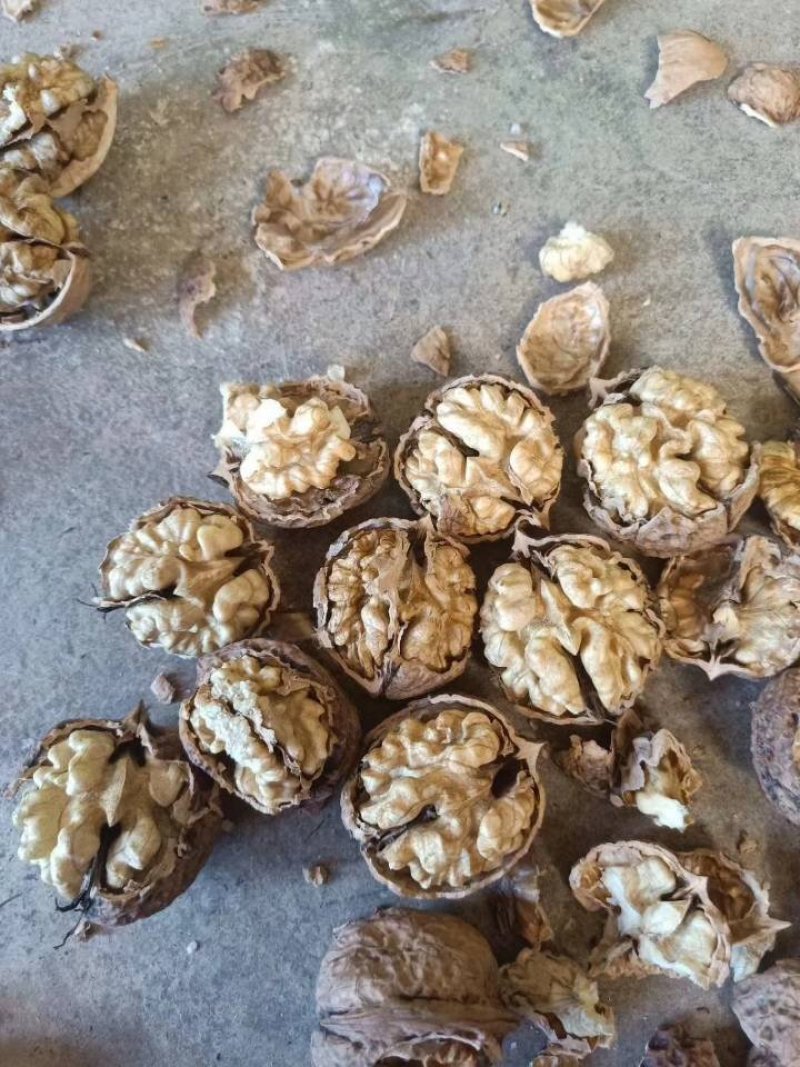大量核桃出售