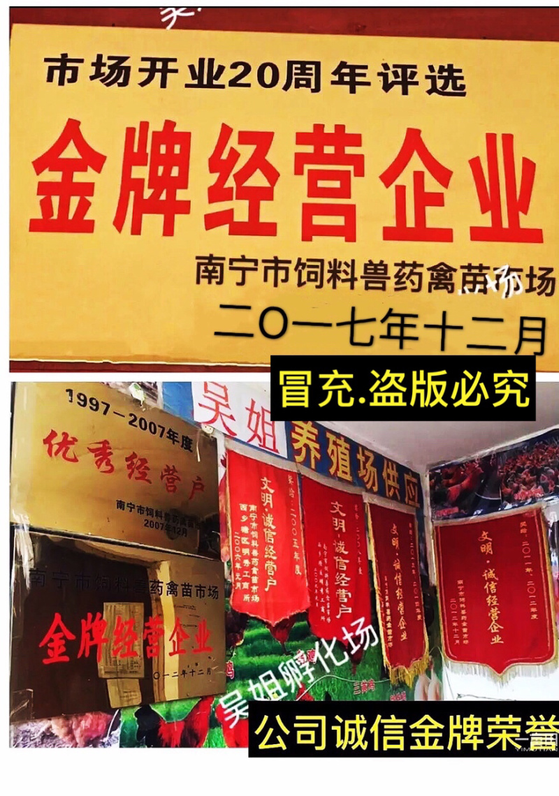 大白沙狮头鹅苗️，质量保障，店有（诚信企业）证书