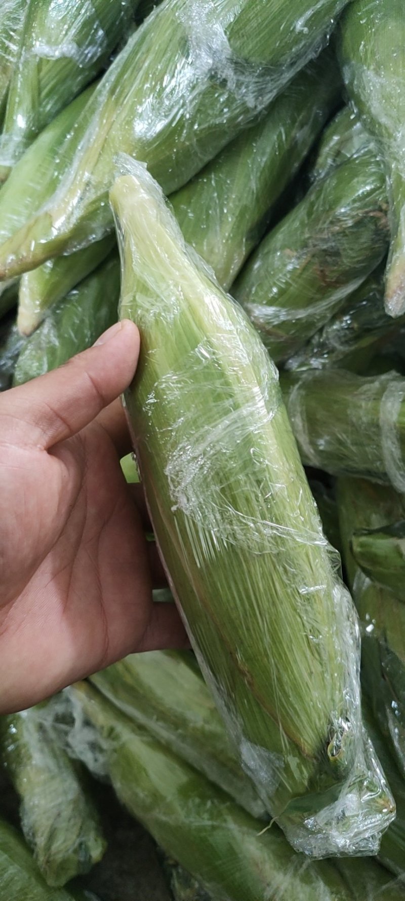水果玉米