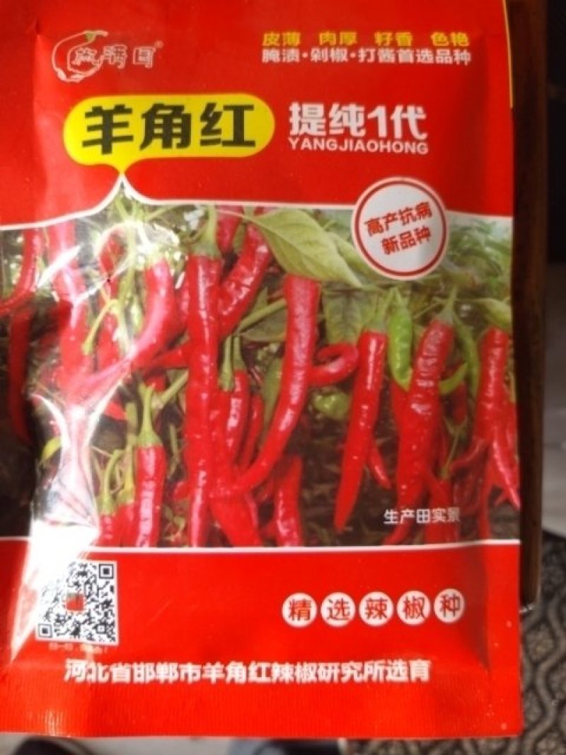 羊角红辣椒苗预定中，本品种为软皮辣椒适合腌制，打酱，剁椒