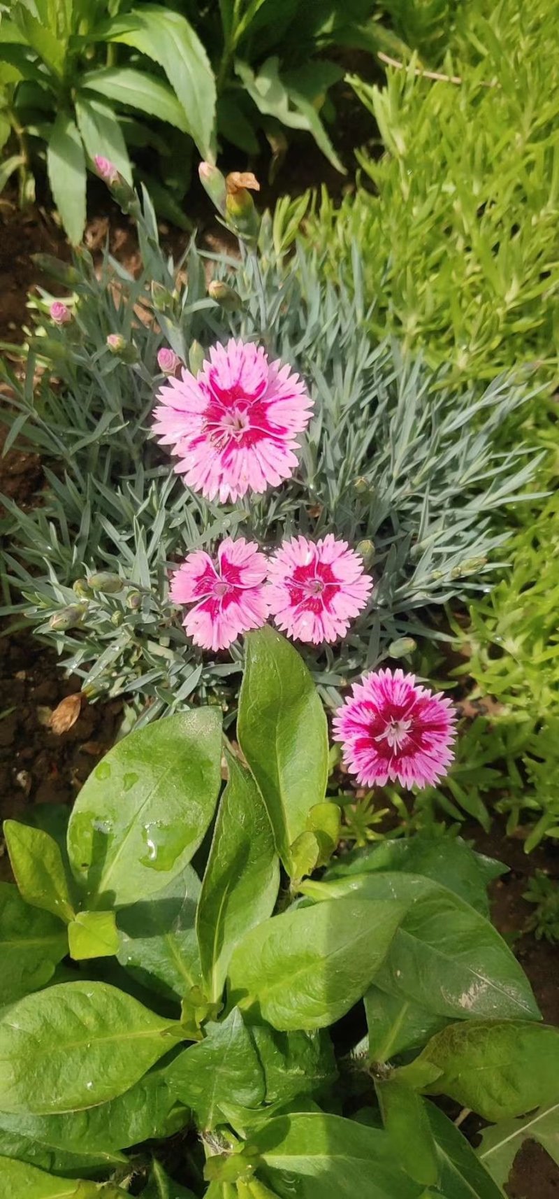 花海打造，设计推荐，效果展示。用心成就重托。