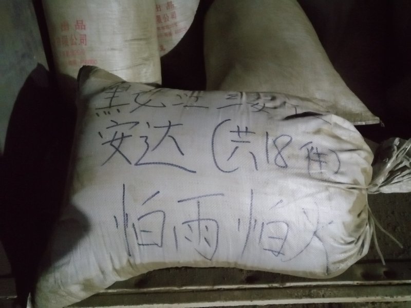 青绿色艾叶粉—替抗的理想选择—可视频看货