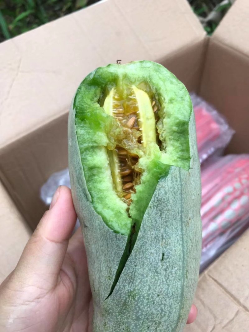 博洋61，好吃的忘不了，嘎嘎脆！好吃的流连忘返，回味无穷