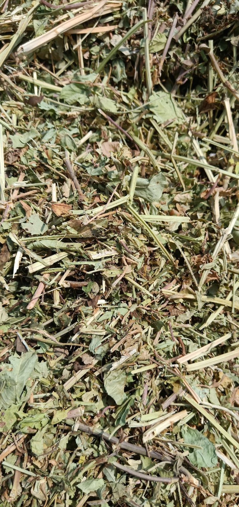 一级花生秧牛羊草，无土，无膜，无霉变，保证质量