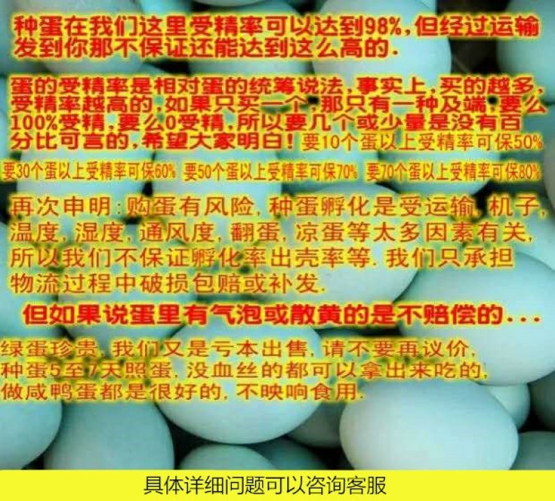 绿壳种蛋绿头麻鸭种蛋受精蛋水鸭湖鸭大种高产绿壳鸭蛋