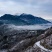 高山野茶