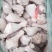肉鸡分割品(钦州九联食品)