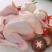 肉鸡分割品(钦州九联食品)