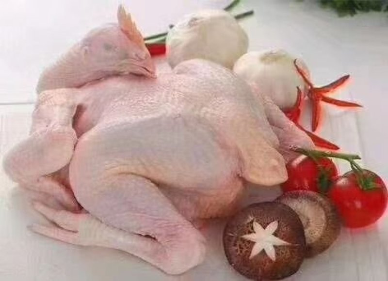 肉鸡分割品(钦州九联食品)