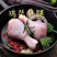 肉鸡分割品(钦州九联食品)