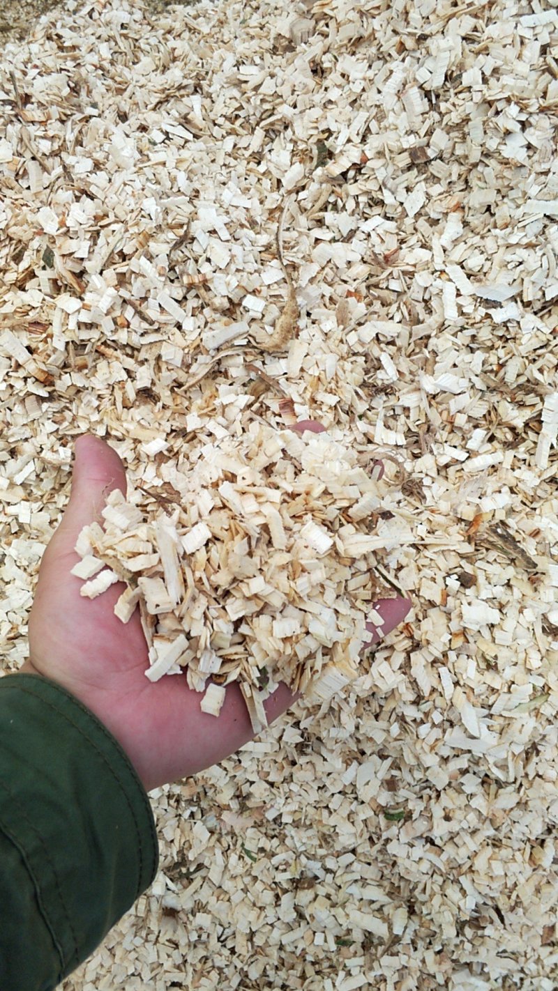 各种食用菌木屑常年大量供应，香菇料，秀针菇料，各种料都有