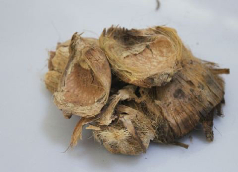 大腹皮大腹毛中药材槟榔壳产地直销批发零售