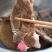 【有好货】排骨，猪排，猪排骨，多肉，纯干进口